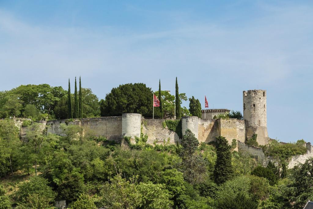 Residence Prestige Odalys Le Clos Saint Michel Chinon Zewnętrze zdjęcie