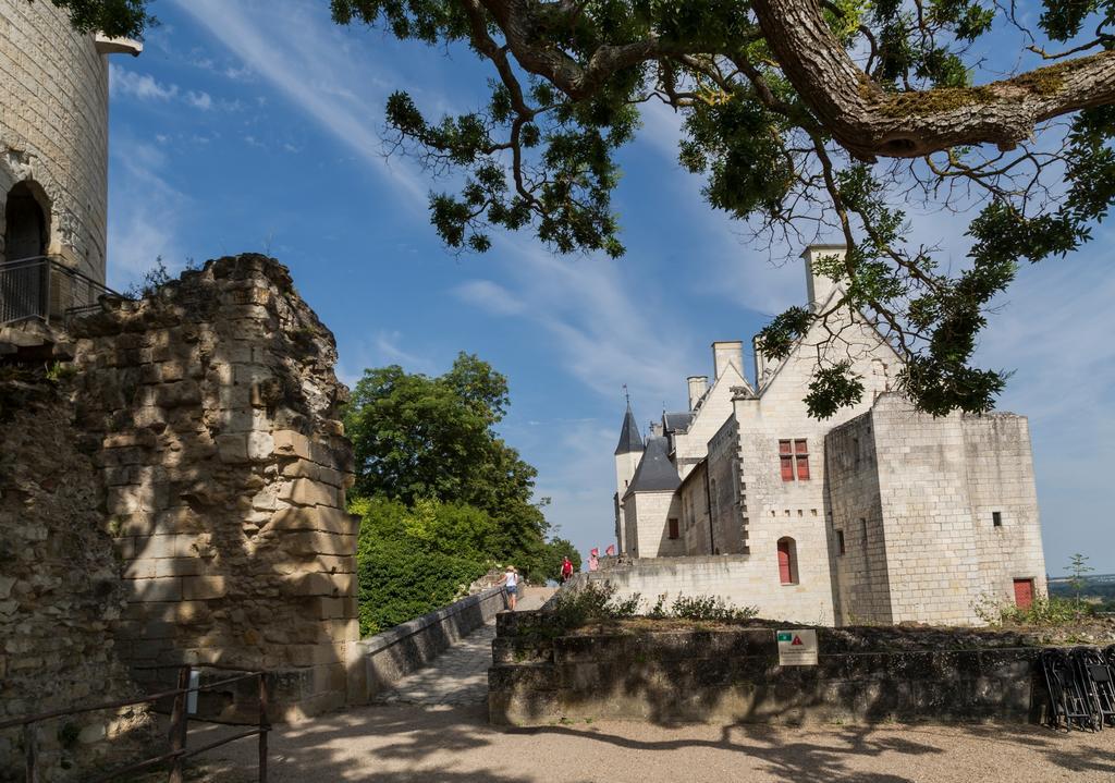 Residence Prestige Odalys Le Clos Saint Michel Chinon Zewnętrze zdjęcie